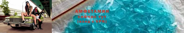 сатива Абаза