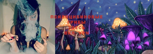 метамфетамин Алексеевка