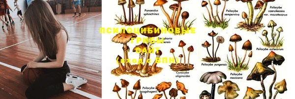 метамфетамин Алексеевка