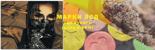 молекула духа Кущёвская