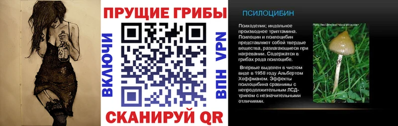 что такое наркотик  Невинномысск  Псилоцибиновые грибы Cubensis 